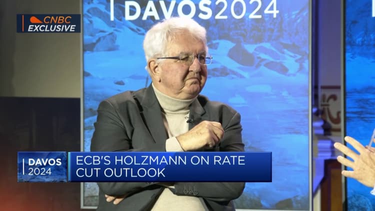 ECB hawk Holzmann sees possibility of no rate cuts this year